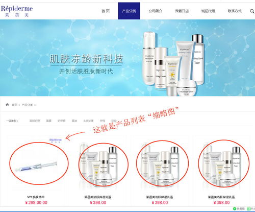 上海派網 一站式網站建設與SEO優化專家，助力企業在滬騰飛